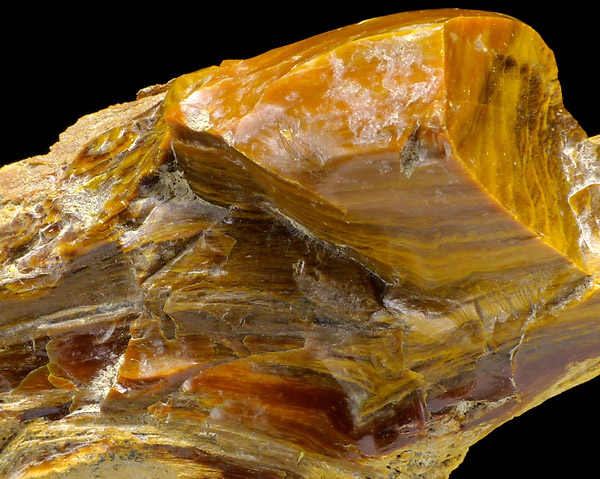 petrified wood opal petrified wood opal