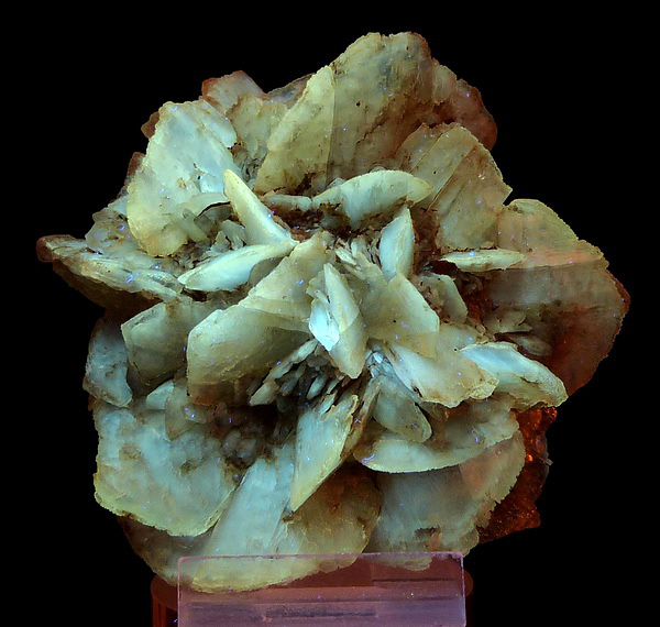 Gypsum rose. Gypsum specimens from Kerch shows strong florescence in UV light.