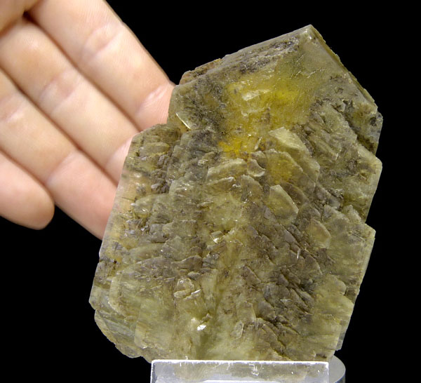 Big gypsum crystal - 9 cm.