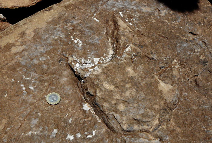 Mibladen - dinosaur footprint in sandstone.